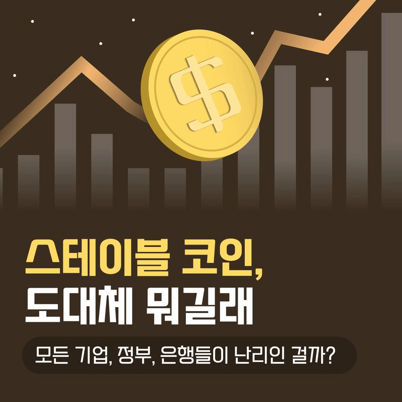 본문 이미지 - [신간] &#39;그래서 스테이블코인이 뭔데?&#39;