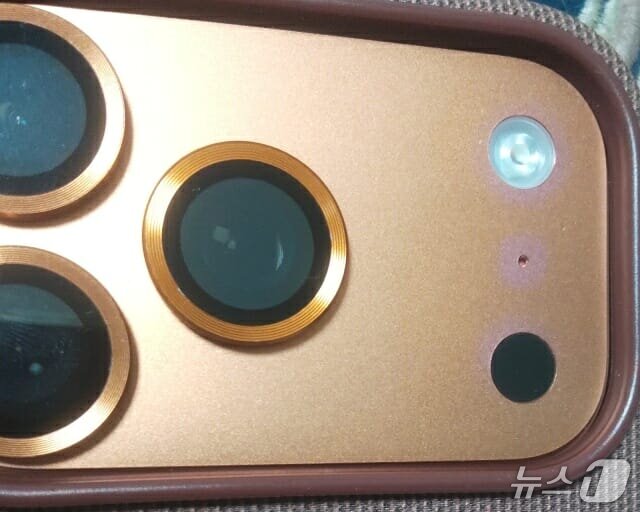 Cases of iPhone 17 Pro discoloration have also been reported in South Korea / Capture from online community