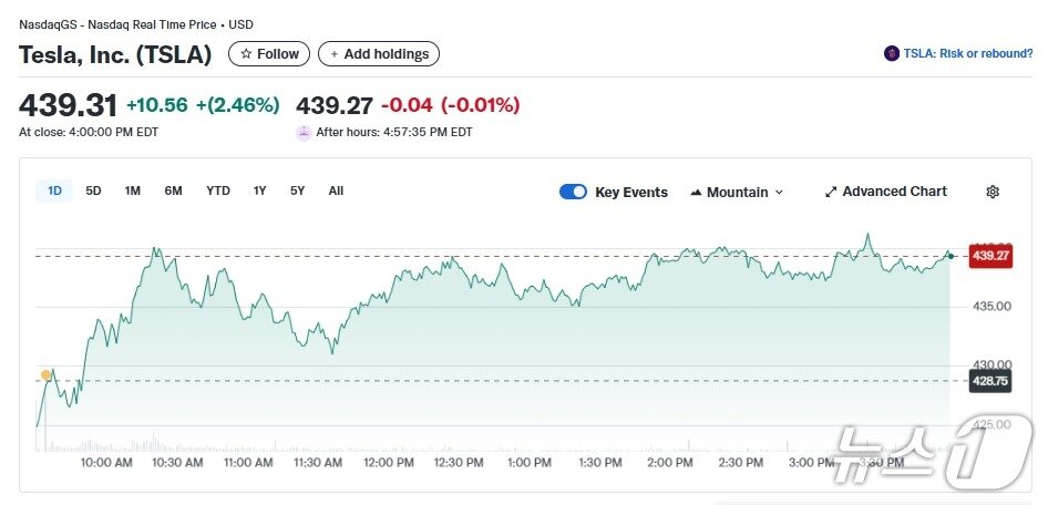 본문 이미지 - 지난 17일 테슬라 주가 추이 - 야후 파이낸스 갈무리