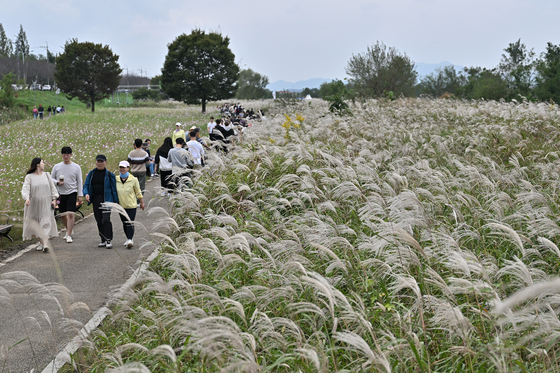 제10회 서창억새축제 성료