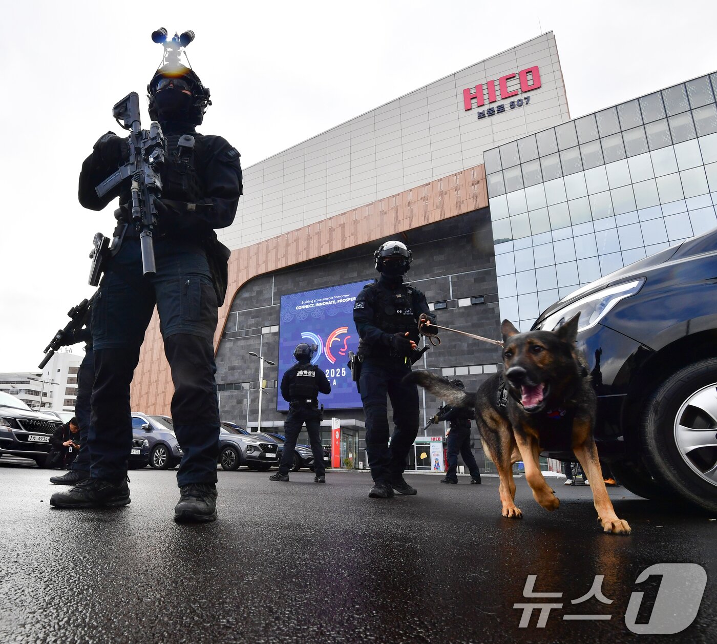 본문 이미지 - 20일 오후 APEC 2025 정상회의 정상회의장이 마련된 경북 경주 화백컨벤션센터에서 실시된 대테러 훈련에서 경북경찰청 특공대 탐지견이 가상의 폭발물을 탐지 하고 있다.  2025.10.20/뉴스1 ⓒ News1 최창호 기자