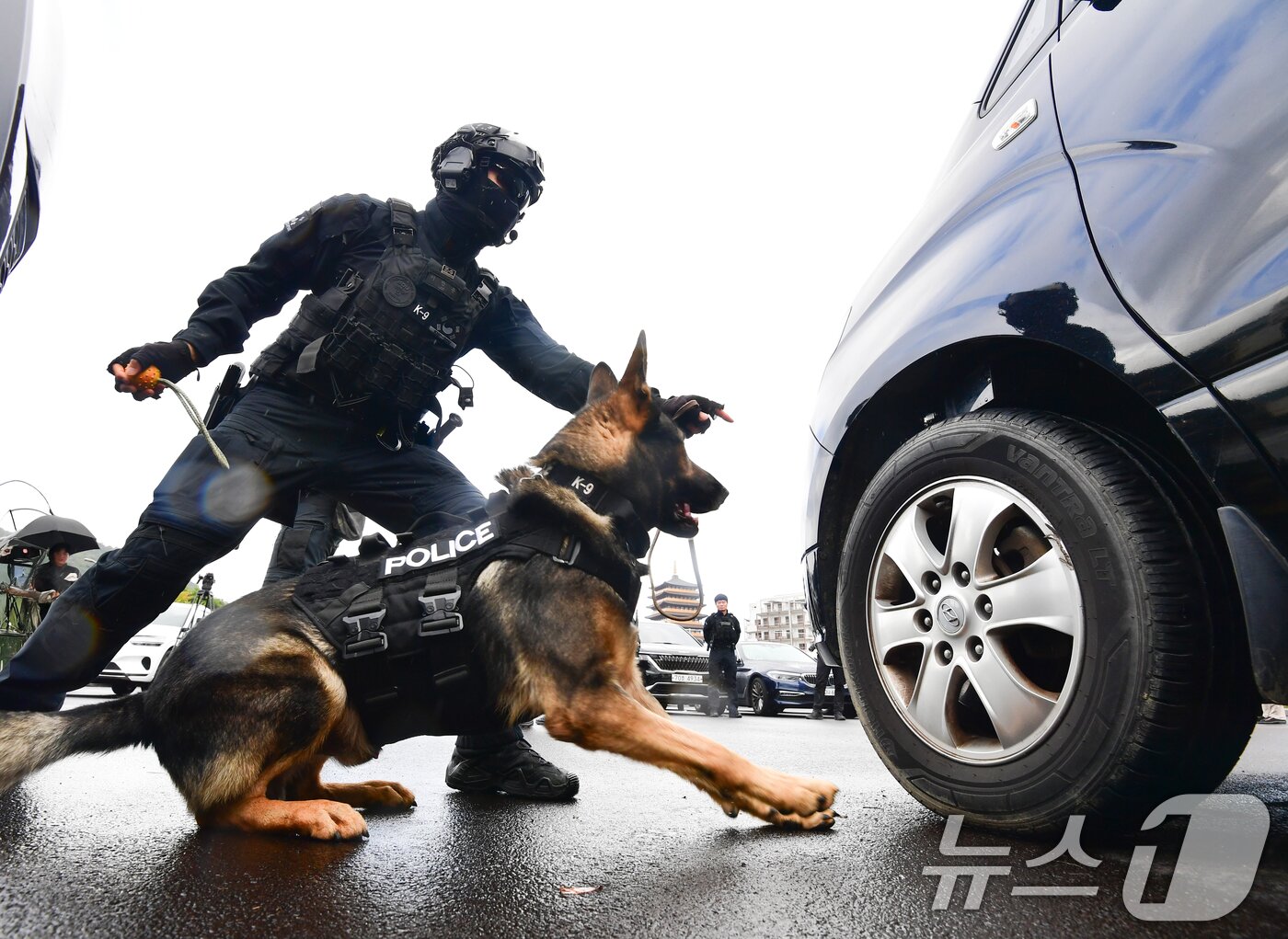 본문 이미지 - 20일 오후 APEC 2025 정상회의 정상회의장이 마련된 경북 경주 화백컨벤션센터에서 실시된 대테러 훈련에서 경북경찰청 특공대 탐지견이 주차된 차량에 설치된 가상의 폭발물을 찾아내고 있다. 2025.10.20/뉴스1 ⓒ News1 최창호 기자
