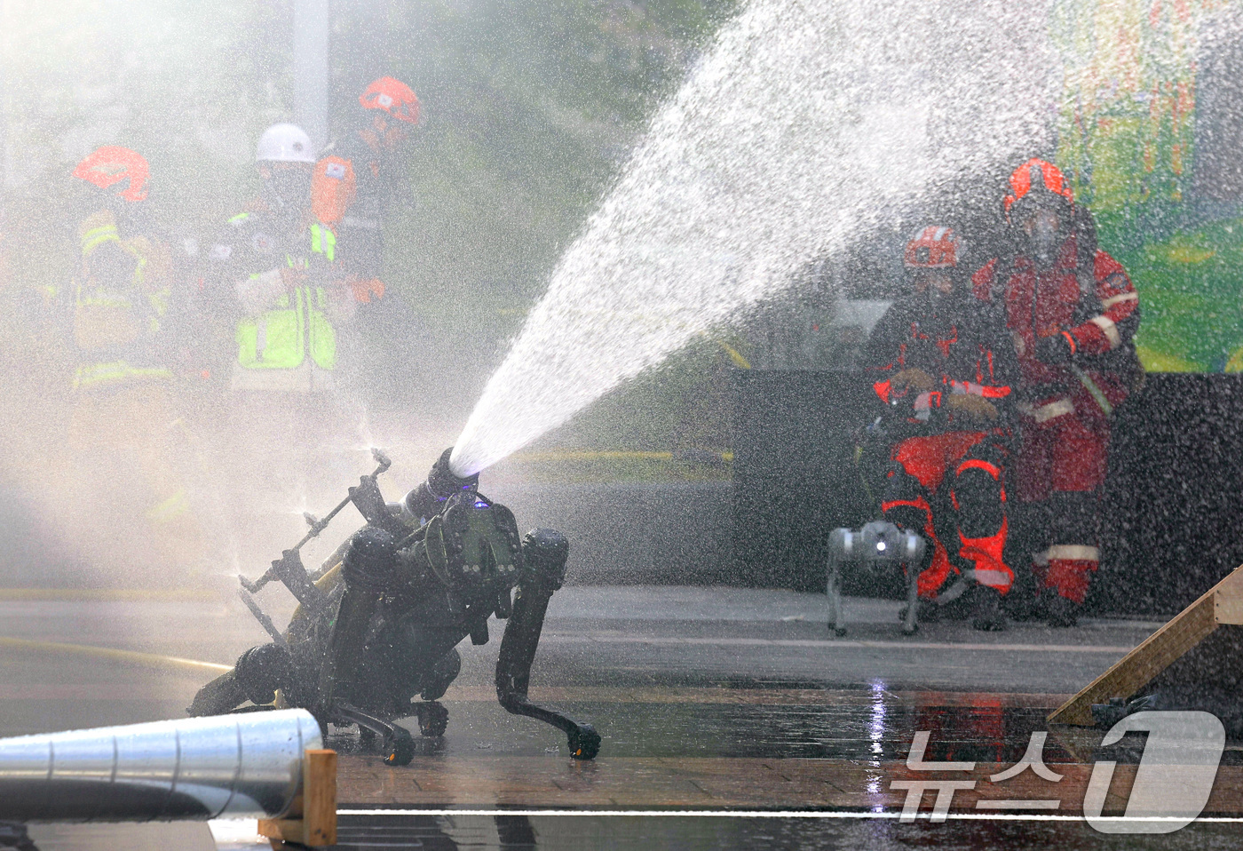 (서울=뉴스1) 구윤성 기자 = 20일 오후 서울 강남구 코엑스에서 열린 '2025 강남구 안전한국훈련'에서 로봇 소방견이 화재진압을 하고 있다. 2025.10.20/뉴스1