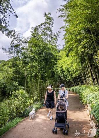 본문 이미지 - 올해 8월, 세계 개의 날을 맞아 진행된 에버랜드 반려견 동반 이벤트(에버랜드 제공) 