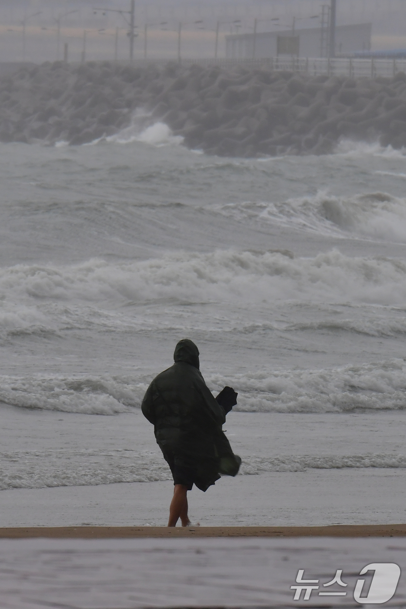 (포항=뉴스1) 최창호 기자 = 22일 오전 경북 포항시 전역에 비가 내리는 가운데 영일대해수욕장 백사장에서 한 시민이 맨발 걷기를 하고 있다.  2025.10.22/뉴스1