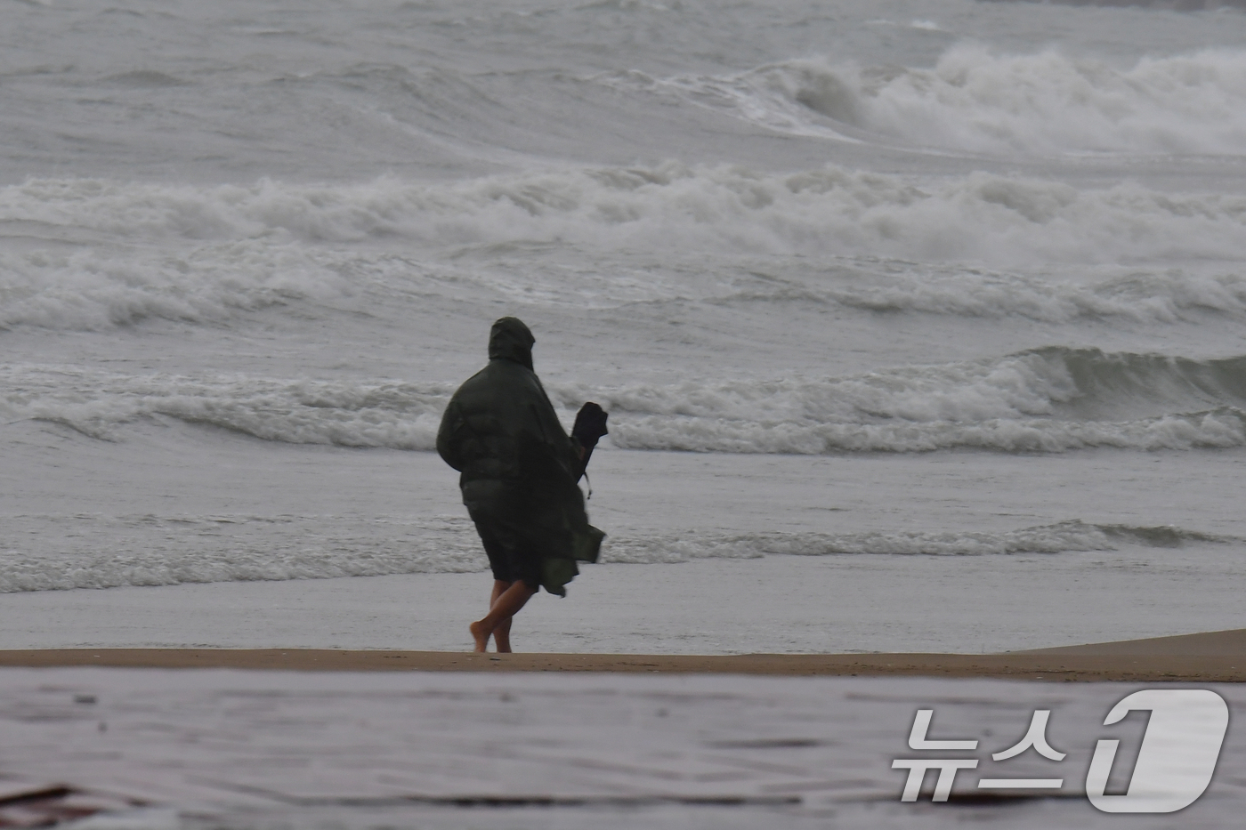 (포항=뉴스1) 최창호 기자 = 22일 오전 경북 포항시 전역에 비가 내리는 가운데 영일대해수욕장 백사장에서 한 시민이 맨발 걷기를 하고 있다. 2025.10.22/뉴스1