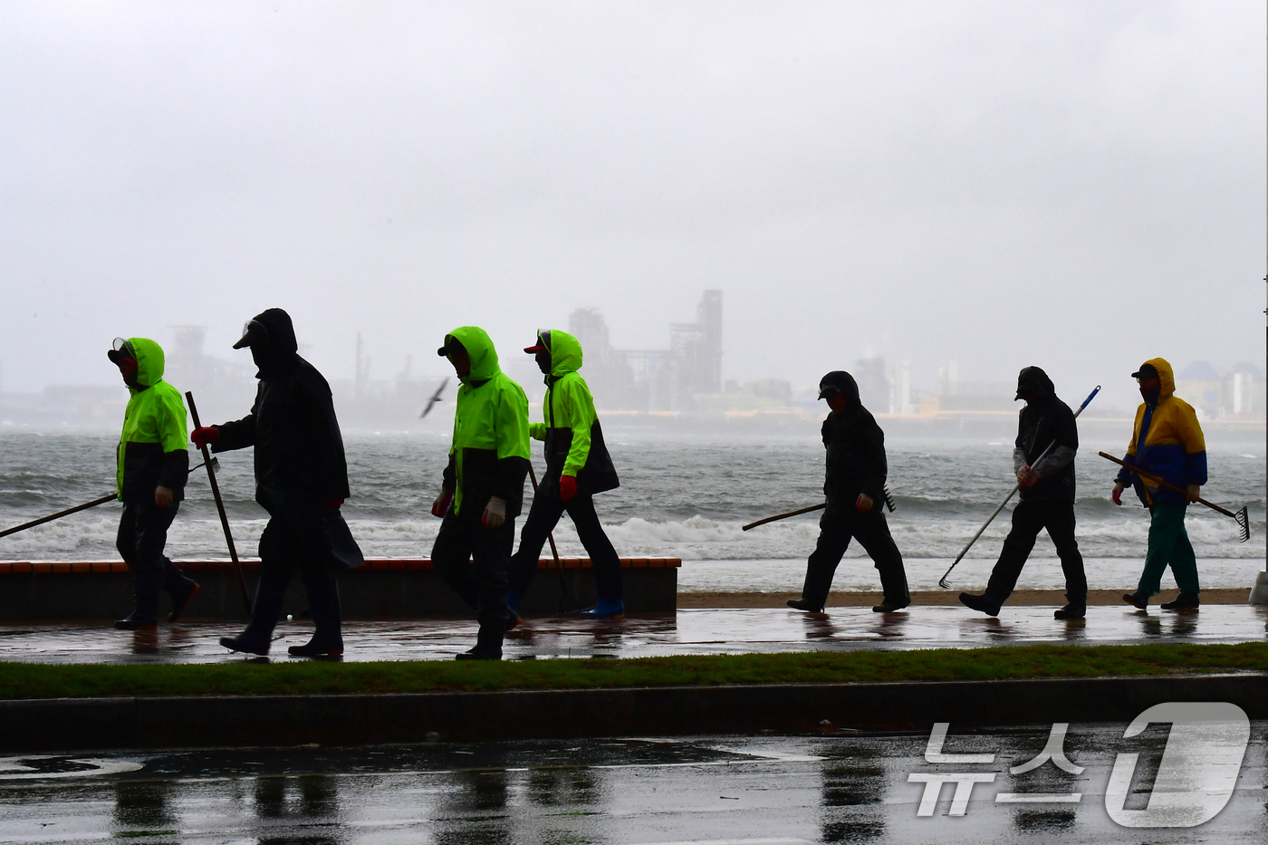 (포항=뉴스1) 최창호 기자 = 22일 오전 경북 포항시 전역에 비가 내리는 가운데 영일대해수욕장 해안도로에서 우비를 입은 공공 근로자들이 걸어가고 있다.   2025.10.22/ …