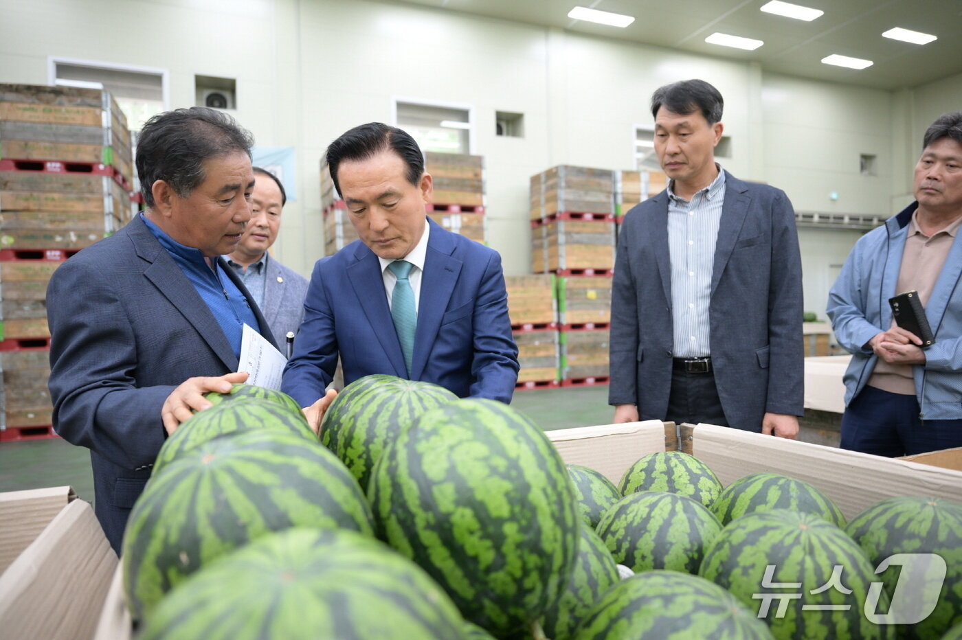 본문 이미지 - 수박 첫 출하 현장 방문 백성현 논산시장 (논산시 제공.재판매 및 DB금지)/뉴스1) 