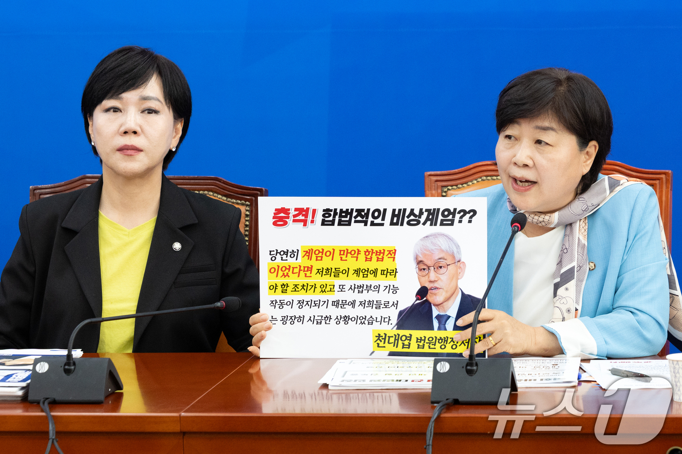 (서울=뉴스1) 이승배 기자 = 서영교 더불어민주당 의원이 22일 서울 여의도 국회에서 열린 '더불어민주당, 조국혁신당, 무소속 법제사법위원회위원 ' 국정감사 기자간담회에서 대법원 …