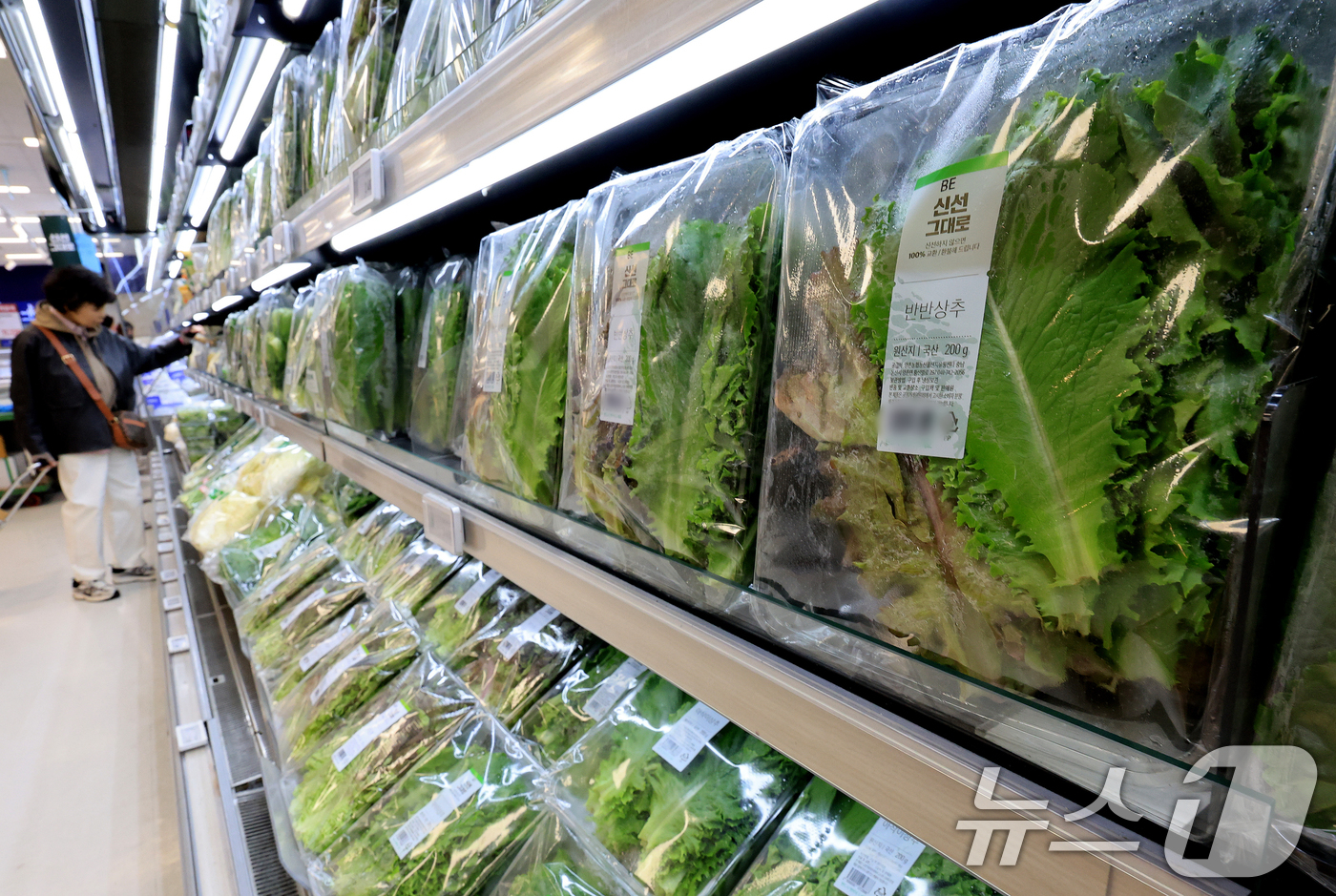 (서울=뉴스1) 이호윤 기자 = 한국은행이 발표한 9월 생산자물가지수가 전월 대비 0.4% 오르며 한 달 만에 상승세로 전환됐다. 농림수산품은 전월 대비 0.4% 오르며 품목별로 …