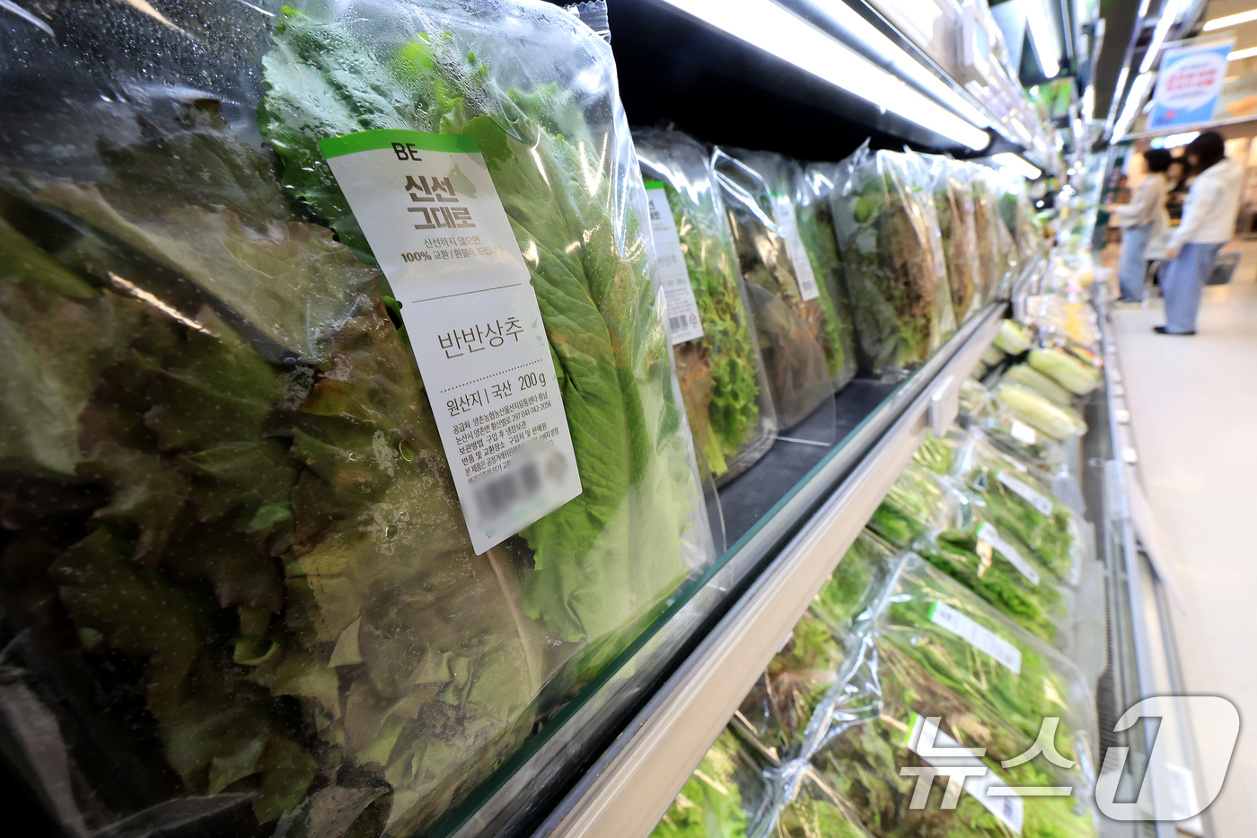 (서울=뉴스1) 이호윤 기자 = 한국은행이 발표한 9월 생산자물가지수가 전월 대비 0.4% 오르며 한 달 만에 상승세로 전환됐다. 농림수산품은 전월 대비 0.4% 오르며 품목별로 …