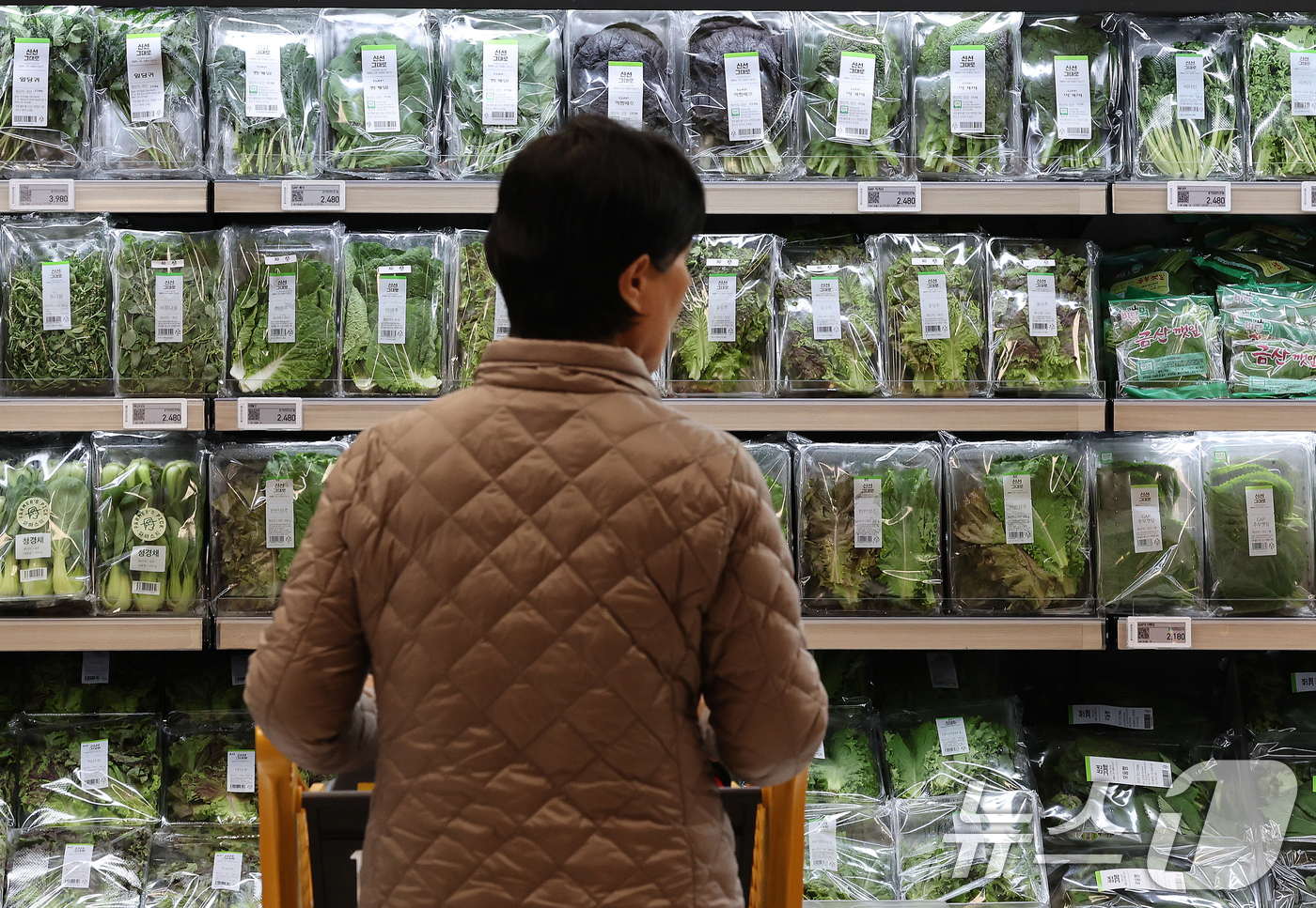 (서울=뉴스1) 이호윤 기자 = 한국은행이 발표한 9월 생산자물가지수가 전월 대비 0.4% 오르며 한 달 만에 상승세로 전환됐다. 농림수산품은 전월 대비 0.4% 오르며 품목별로 …