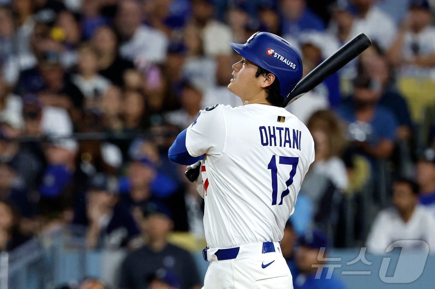 본문 이미지 - 오타니 쇼헤이. ⓒ AFP=뉴스1