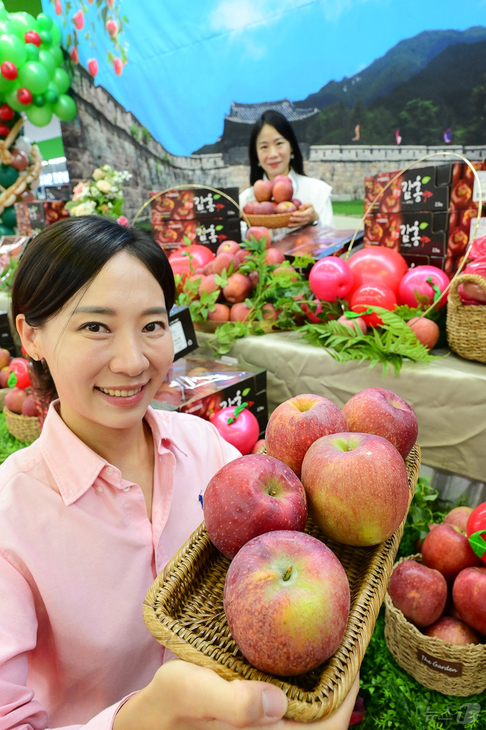 (서울=뉴스1) = 농식품 전문 매장 농협 하나로마트를 운영하는 농협유통은 23일 사과데이(10월 24일)를 하루 앞두고 경북 문경 등지에서 재배·생산된 '감홍 사과'를 올해 처음 …