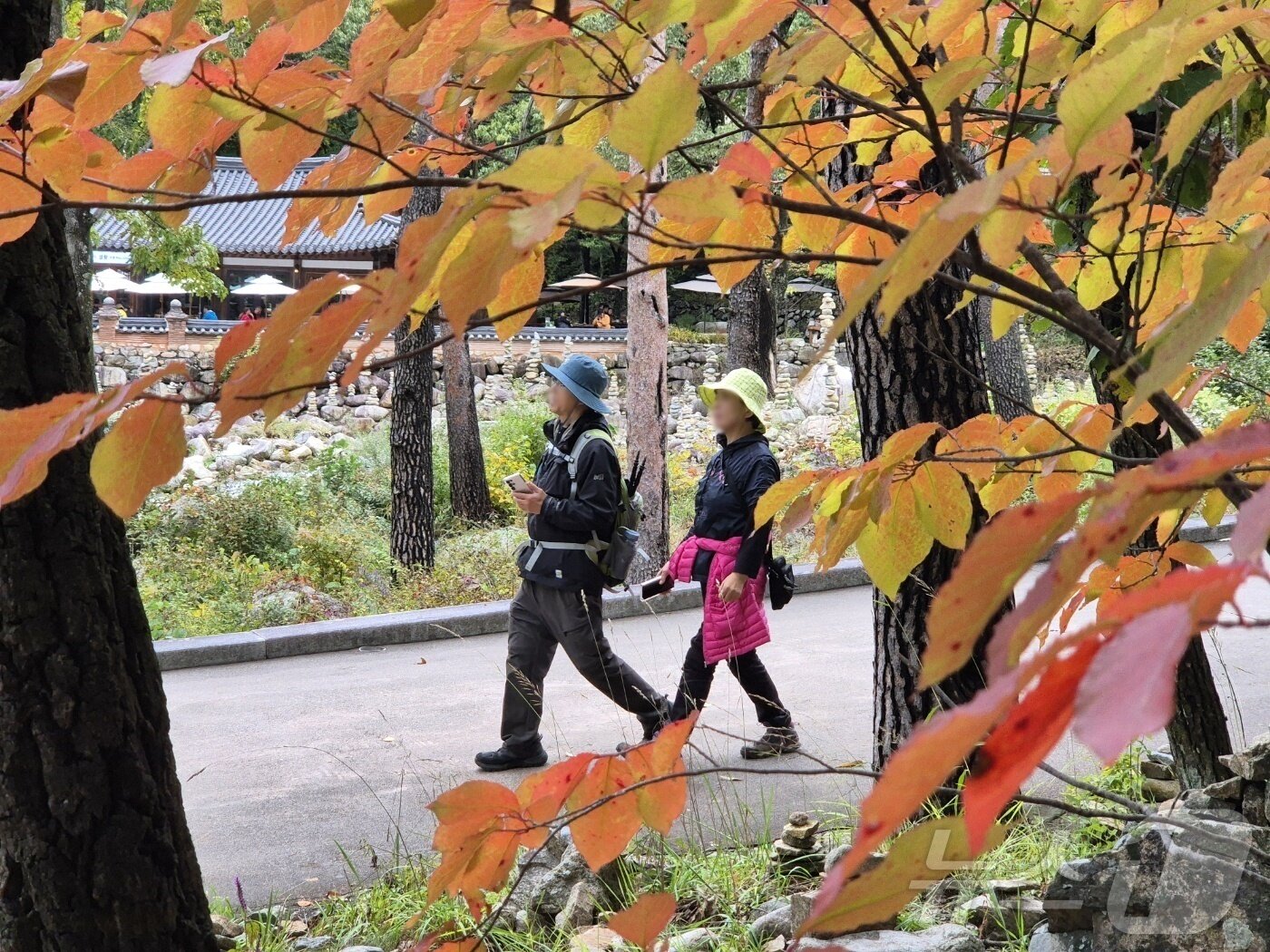 본문 이미지 - 설악산 등산객. 기사 이해를 돕기 위한 자료사진.&#40;뉴스1 DB&#41; ⓒ News1 윤왕근 기자