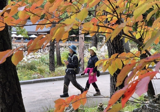 추석 지나 오색옷 갈아입는 강원 명산…화려한 단풍이 부른다