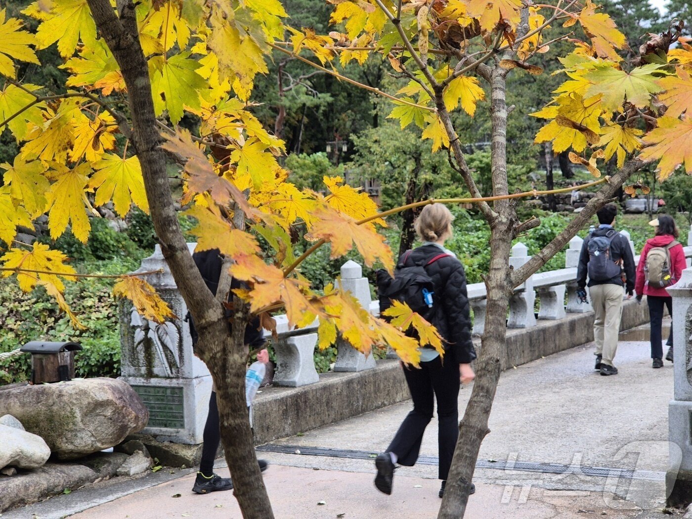 본문 이미지 - 절정에 이른 설악산 단풍을 즐기려는 탐방객들이 23일 강원 속초시 설악산국립공원에서 산행을 즐기고 있다. 2025.10.23/뉴스1 ⓒ News1 윤왕근 기자