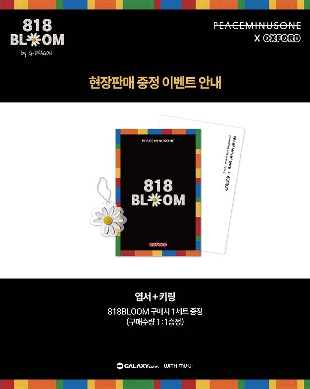 본문 이미지 - 이미지=818 BLOOM 제공