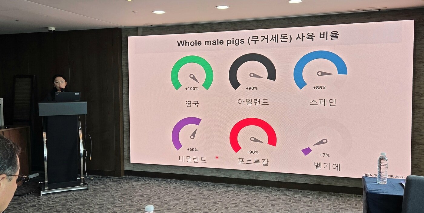 본문 이미지 - 오연수 강원대 수의과대학 교수가 유럽의 무거세돈 사육 비율에 대해 소개하고 있다. ⓒ 뉴스1 한송아 기자