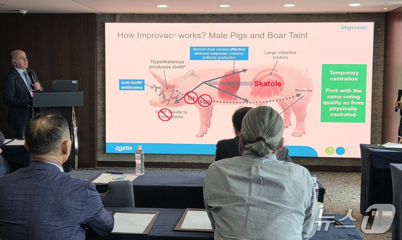 본문 이미지 - 알바로 박사가 임프로박 백신의 작용 원리에 대해 설명하고 있다. ⓒ 뉴스1 한송아 기자