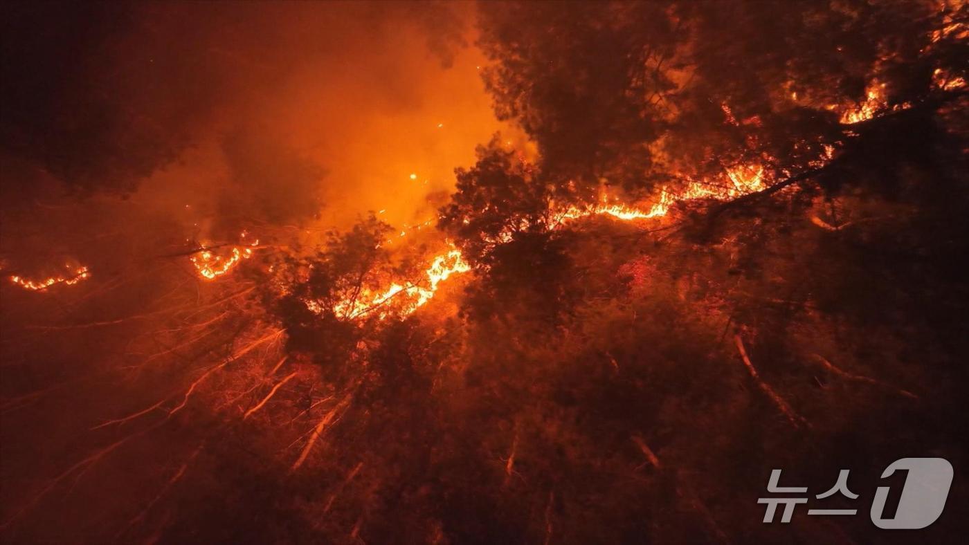 본문 이미지 - 동해안 대형산불 자료사진.&#40;MBC강원영동 제공, 재판매 및 DB 금지&#41; 2025.10.23/뉴스1