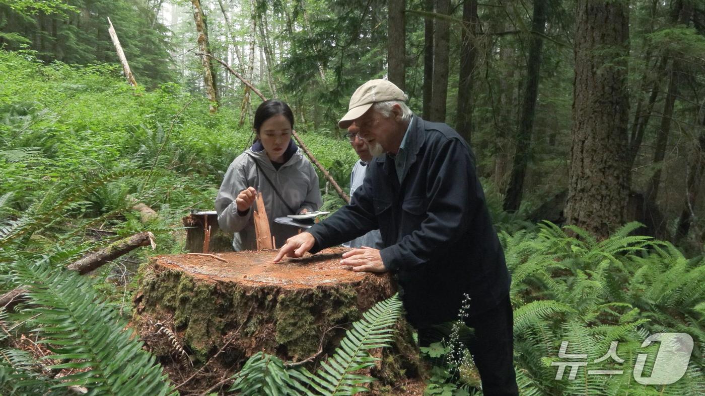 본문 이미지 - 해외 산불 피해지 복원 현장 찾은 MBC강원영동 취재진.&#40;MBC강원영동 제공,재판매 및 DB 금지&#41; 2025.10.23/뉴스1