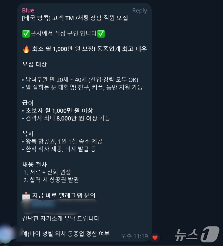 본문 이미지 - 23일 오전 텔레그램의 한 구직 채널에 올라온 '고수익 일자리' 빙자 유인 구직글