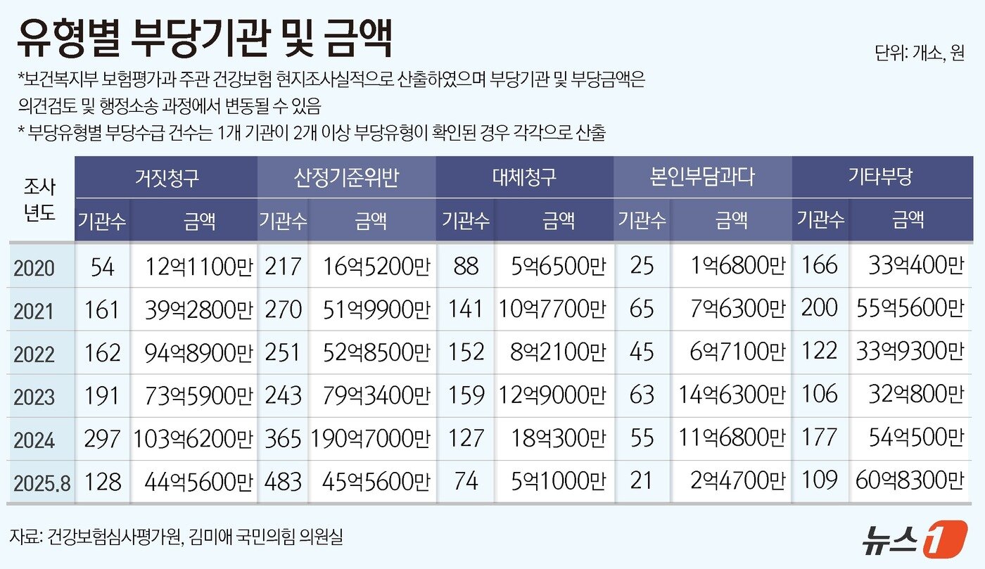 본문 이미지 - 유형별 부당기관 및 금액 &#40;심평원, 김미애 의원실 제공&#41; ⓒ News1 윤주희 디자이너