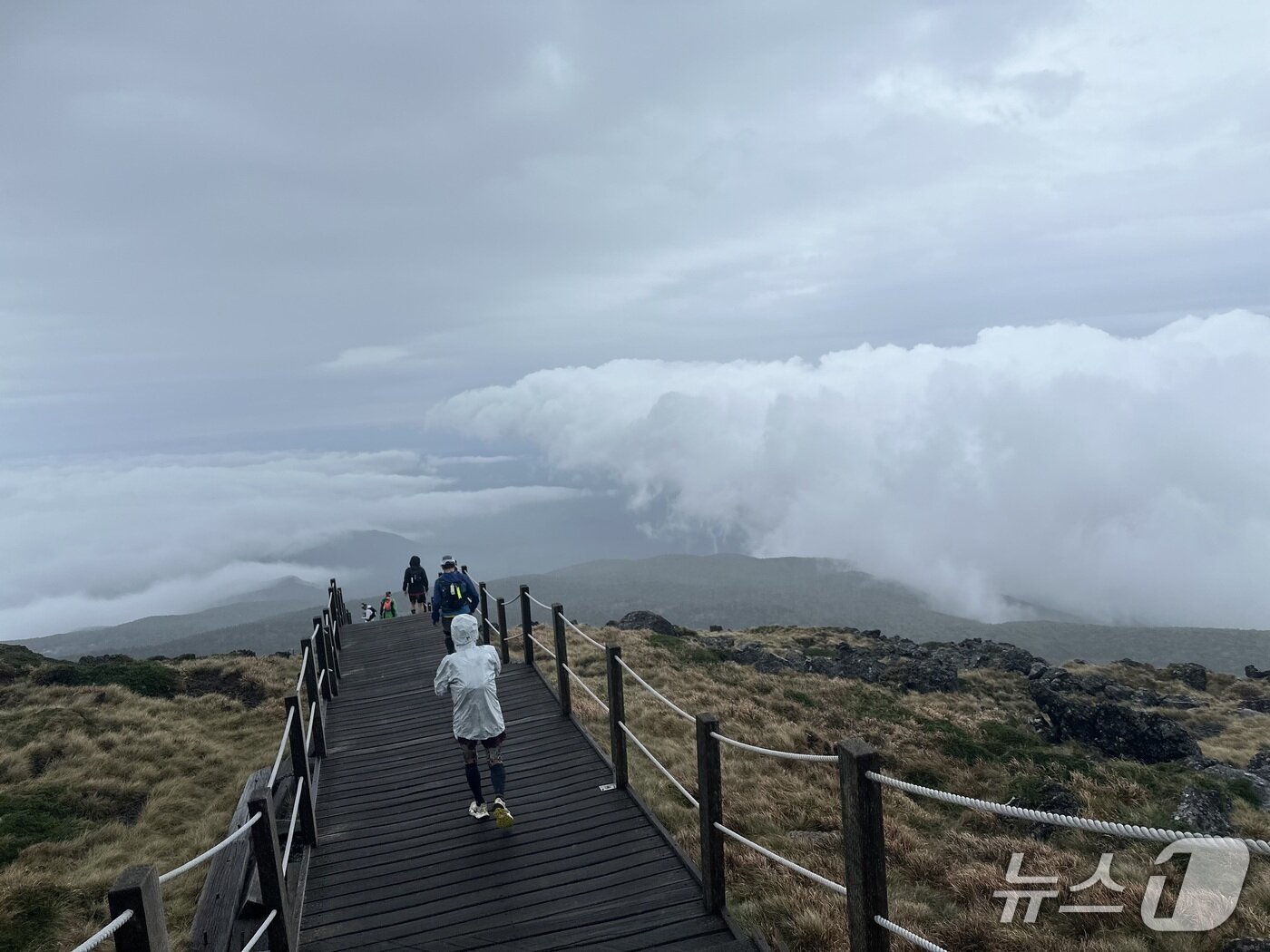 본문 이미지 - 지난 18일 오후 3시 20분께 트랜스제주 100k 대회의 주무대인 한라산 정상 일대를 달리는 참가자들. 2025.10.18/뉴스1 ⓒ News1 이상휼 기자
