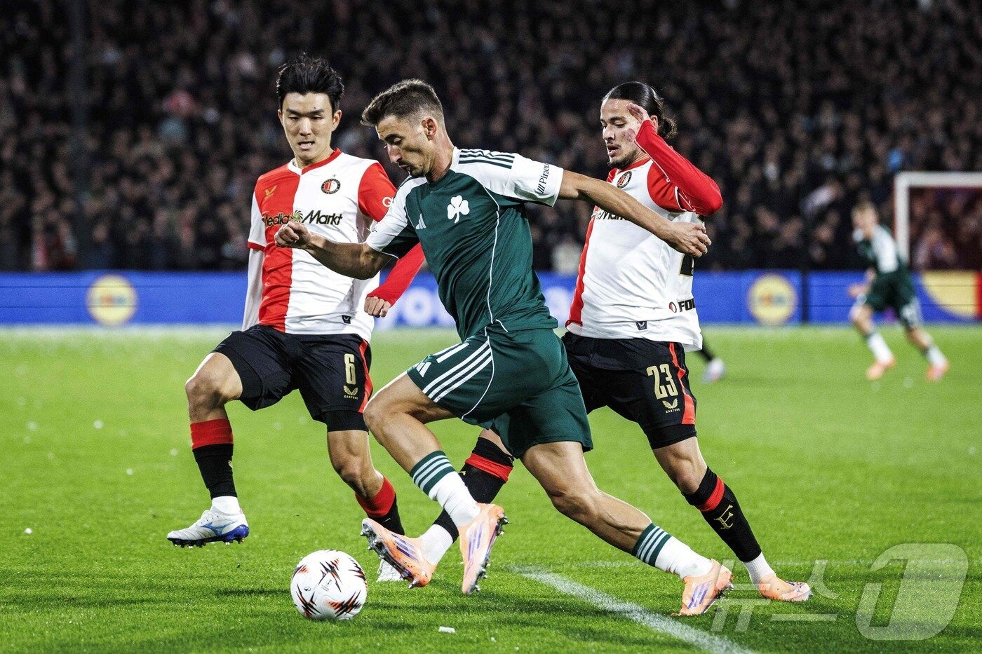 본문 이미지 - 페예노르트의 황인범.ⓒ AFP=뉴스1