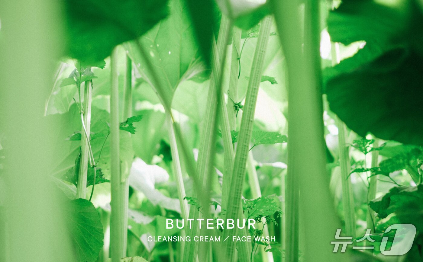 본문 이미지 - 시로의 센시티브(민감성) 라인을 대표하는 소재인 '라완 머위'(시로 제공)