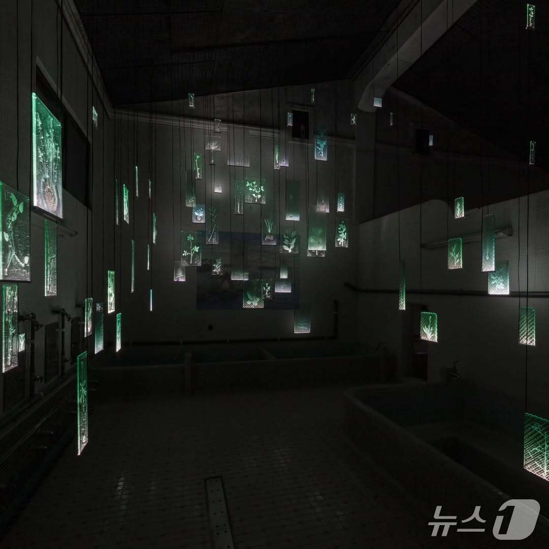 본문 이미지 - 일본 &#39;아이치 트리엔날레&#39;에 전시된 유리작가 사사키 루이의 설치작품 &#39;잊히지 않는 존재&#39; ⓒ 뉴스1