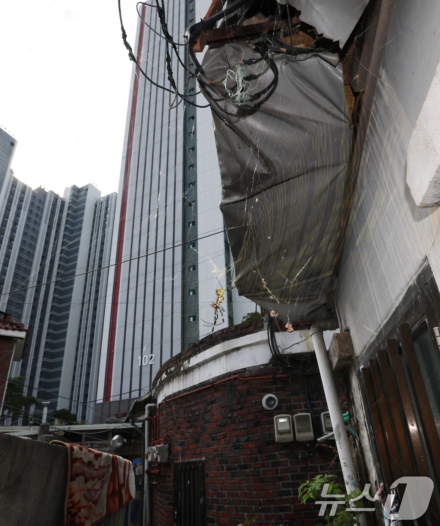 (서울=뉴스1) 오대일 기자 = 정부의 10·15 부동산 대책 발표 이후 서울을 중심으로 거래절벽과 매물 잠김 현상이 뚜렷해지고 있다. 토지거래허가구역과 투기과열지구 확대 지정, …