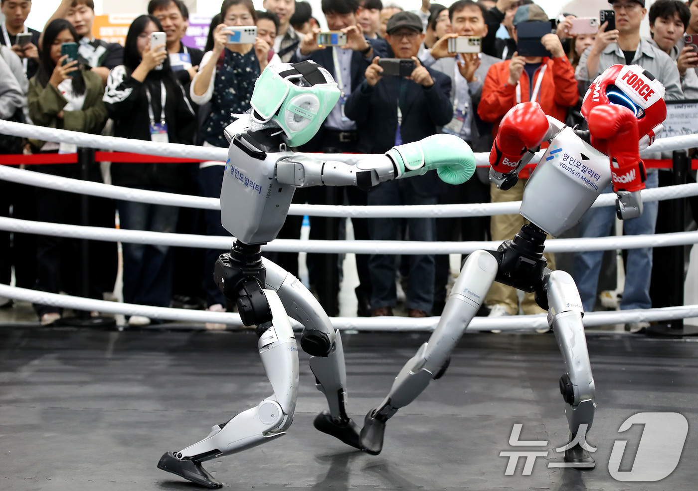(대구=뉴스1) 공정식 기자 = 24일 대구 북구 엑스코에서 열린 '2025 미래혁신기술박람회(FIX 2025)'를 찾은 관람객이 휴머노이드 로봇의 권투 시합을 지켜보고 있다.'F …