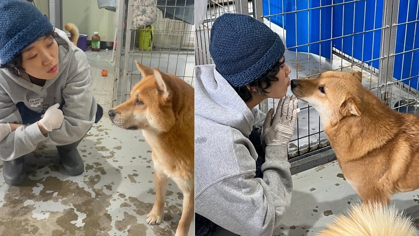 본문 이미지 - 배우 이주영이 보호소 봉사 중 보호견과 교감하고 있다&#40;이주영 제공&#41;. ⓒ 뉴스1