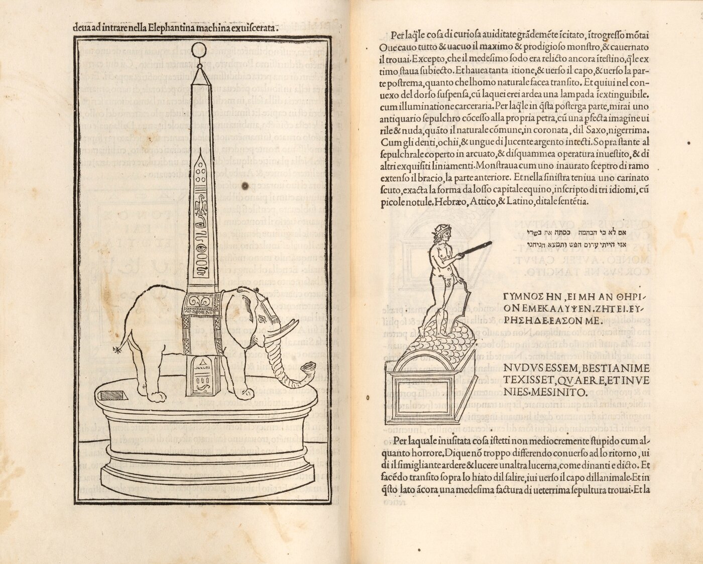 본문 이미지 - '폴리필로의 꿈'(국립세계문자박물관 제공)