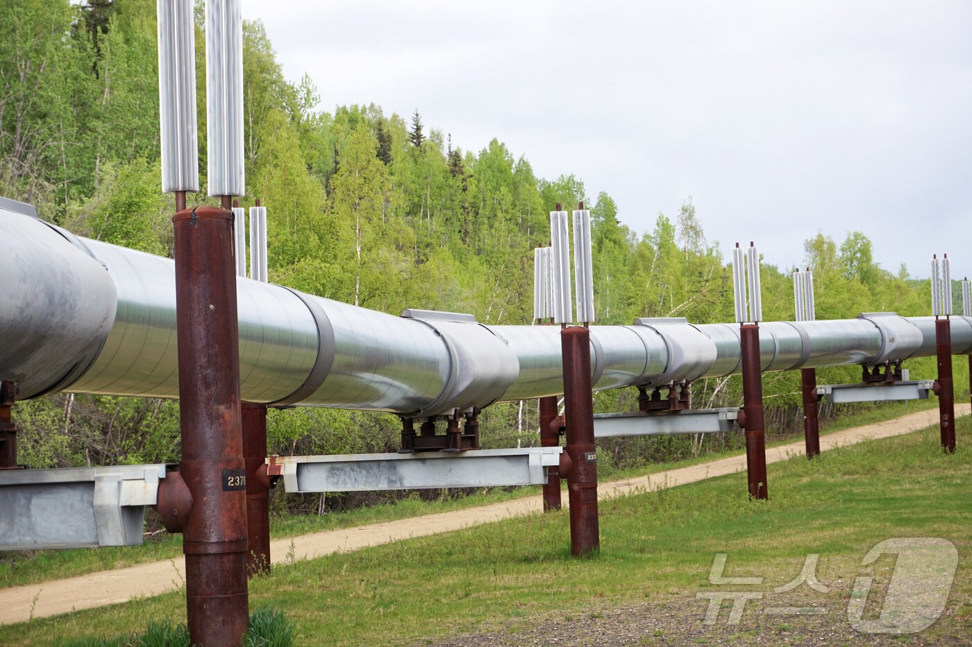 본문 이미지 - 미국 알래스카주 페어뱅크스의 액화천연가스(LNG) 파이프라인.ⓒ 로이터=뉴스1