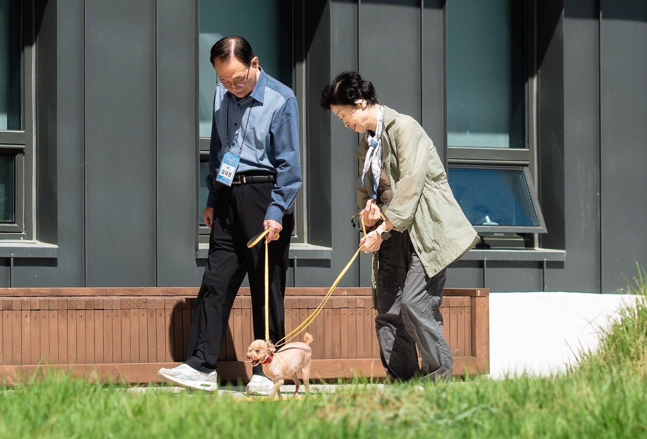 본문 이미지 - 서울시 어르신 반려동물 관리사 자격증반, 실습 수업 중인 모습(아이엠디티 제공) ⓒ 뉴스1