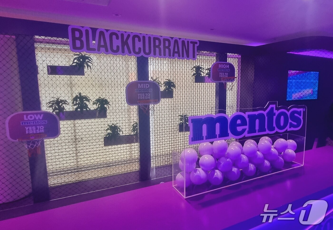 본문 이미지 - 4층에는 세 가지 게임을 할 수 있는 공간이 마련돼 있다. 공 모양이 멘토스 사탕을 연상케 한다. / 뉴스1  박혜연 기자 ⓒ News1  