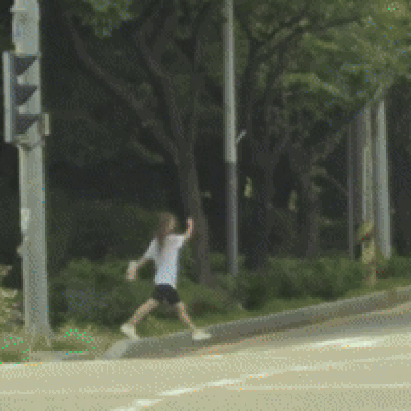 본문 이미지 - (보배드림 갈무리)