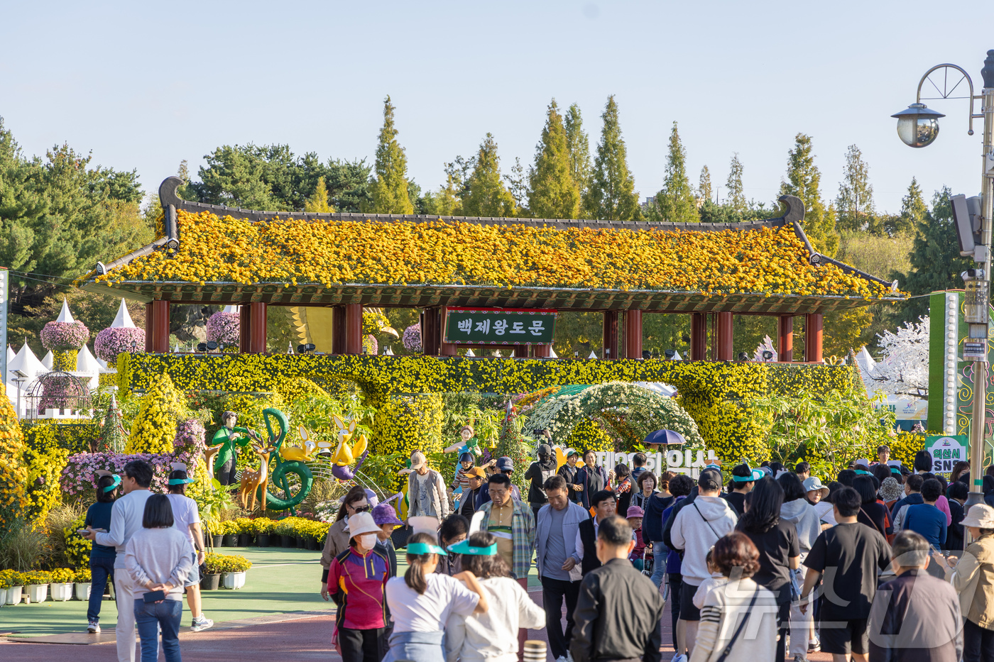 (익산=뉴스1) 장수인 기자 = 24일 개막한 \'제22회 익산 천만송이 국화축제\'가 10일간의 축제 여정을 시작했다.(익산시 제공. 재판매 및 DB 금지) 2025.10.24/ …