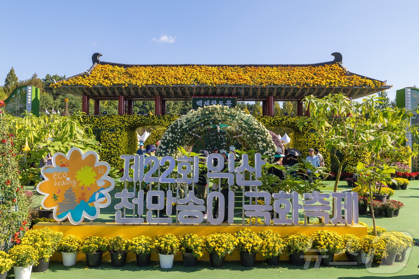 본문 이미지 - 24일 개막한 &#39;제22회 익산 천만송이 국화축제&#39;가 10일간의 축제 여정을 시작했다.&#40;익산시 제공. 재판매 및 DB 금지&#41; 2025.10.24/뉴스1 ⓒ News1