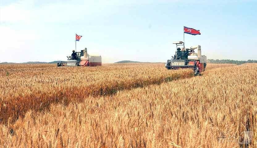 (평양 노동신문=뉴스1) = 북한 노동당 기관지 노동신문은 25일 "당의 새시대 농촌혁명강령을 받들고 농업생산에서 급진적 변혁이 일어나는 속에 농촌경리의 종합적 기계화 실현에서 진 …