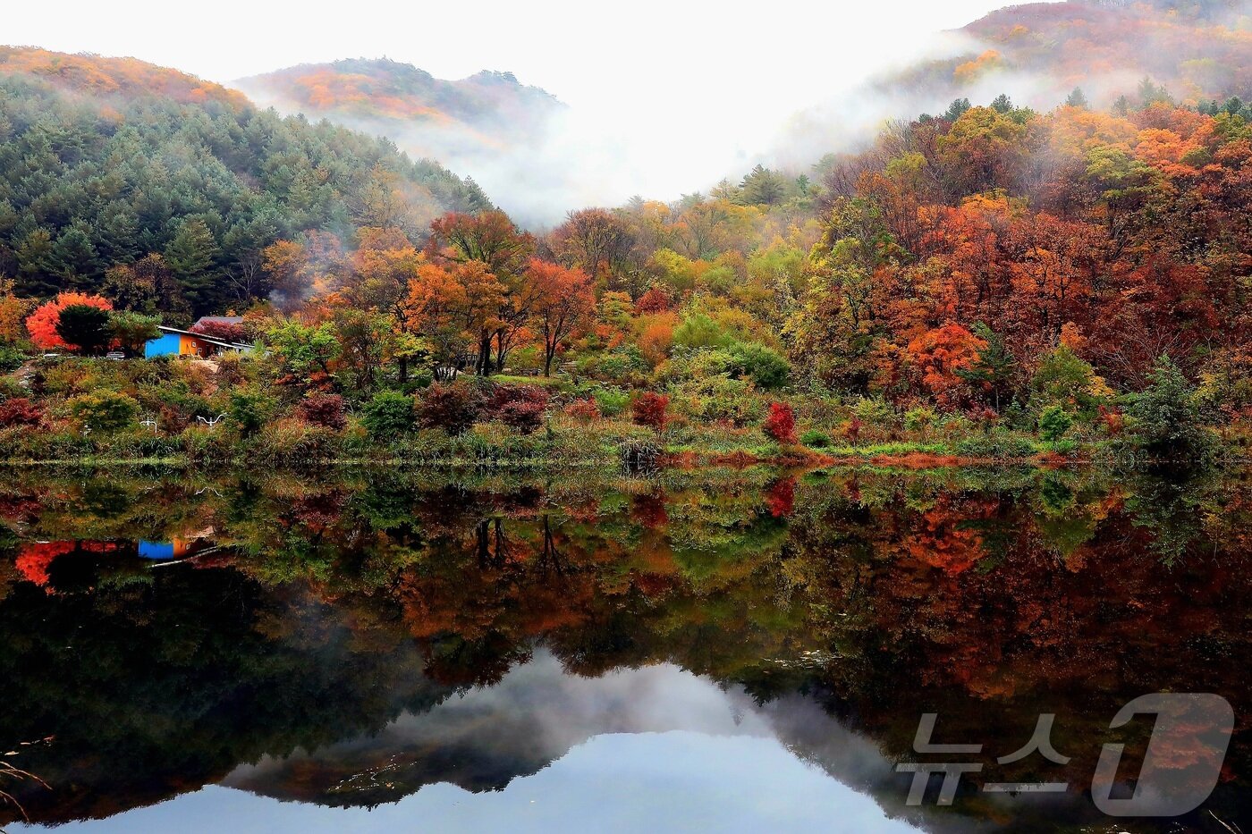 본문 이미지 - 25일 강원 인제군 기린면 방태산 자락이 가을 풍경으로 물들고 있다.(인제군 제공, 재판매 및 DB금지) 2025.10.25 ⓒ 뉴스1 한귀섭 기자