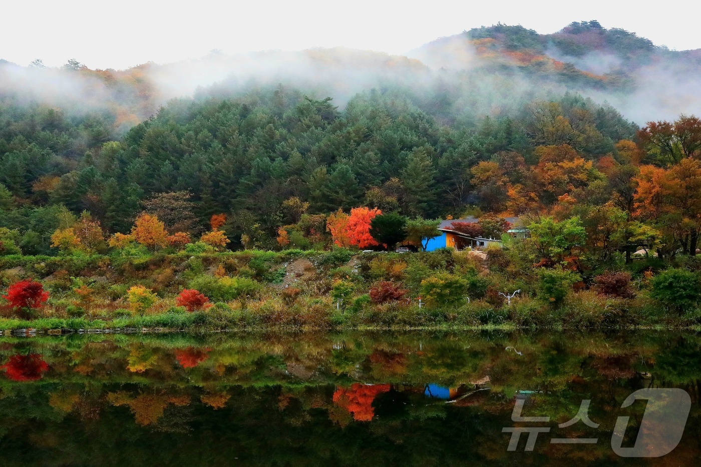 (인제=뉴스1) 한귀섭 기자 = 25일 강원 인제군 기린면 방태산 자락이 가을 풍경으로 물들고 있다.(인제군 제공, 재판매 및 DB금지)  2025.10.25/뉴스1