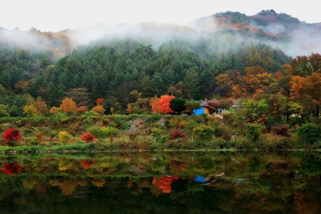 가을로 물든 인제 방태산 자락