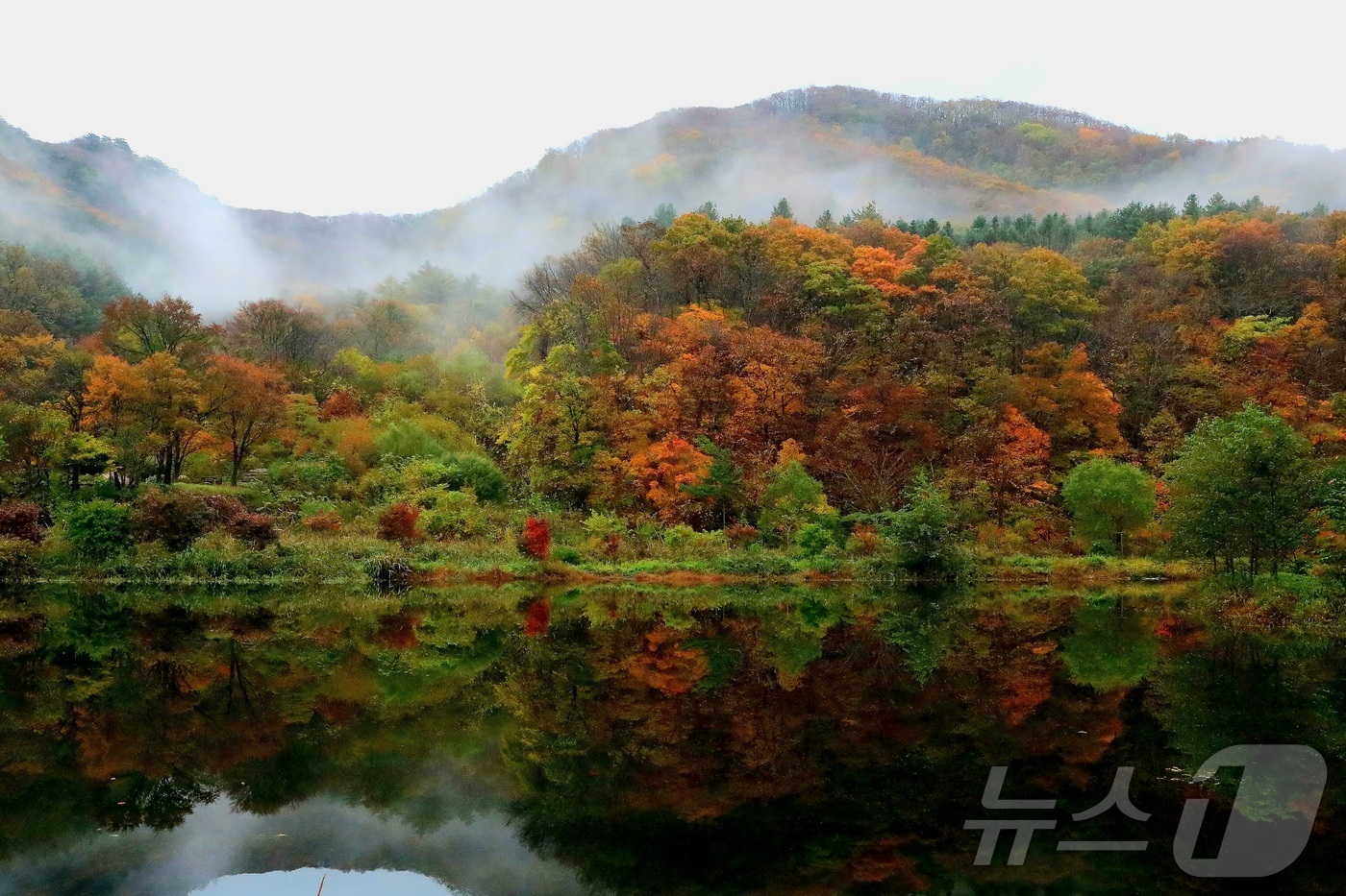 (인제=뉴스1) 한귀섭 기자 = 25일 강원 인제군 기린면 방태산 자락이 가을 풍경으로 물들고 있다.(인제군 제공, 재판매 및 DB금지)  2025.10.25/뉴스1