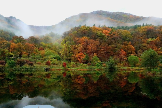 가을로 물든 인제 방태산 자락