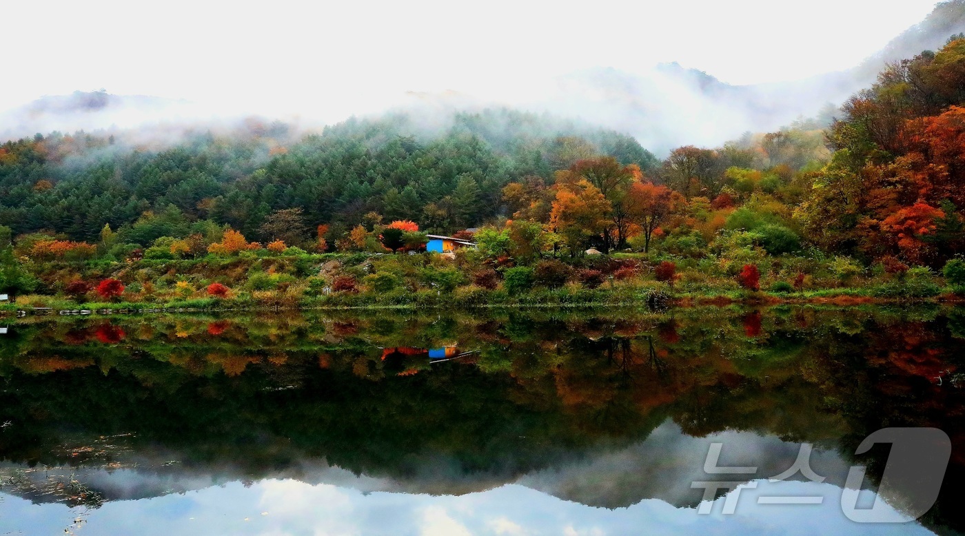 (인제=뉴스1) 한귀섭 기자 = 25일 강원 인제군 기린면 방태산 자락이 가을 풍경으로 물들고 있다.(인제군 제공, 재판매 및 DB금지)  2025.10.25/뉴스1