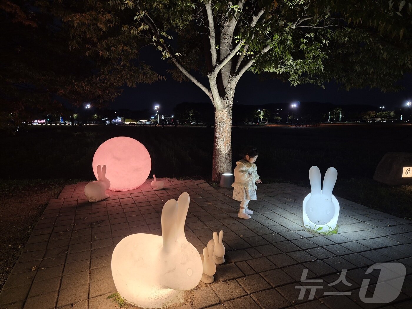 본문 이미지 - 오는 27일부터 11월 1일까지 열리는 ‘2025 아시아태평양경제협력체(APEC) 정상회의’를 앞두고 세계유산 경주역사유적지구의 첨성대 일원이 문화예술 첨단기술이 융합된 축제장으로 변모했다. ⓒ News1 김대벽기자